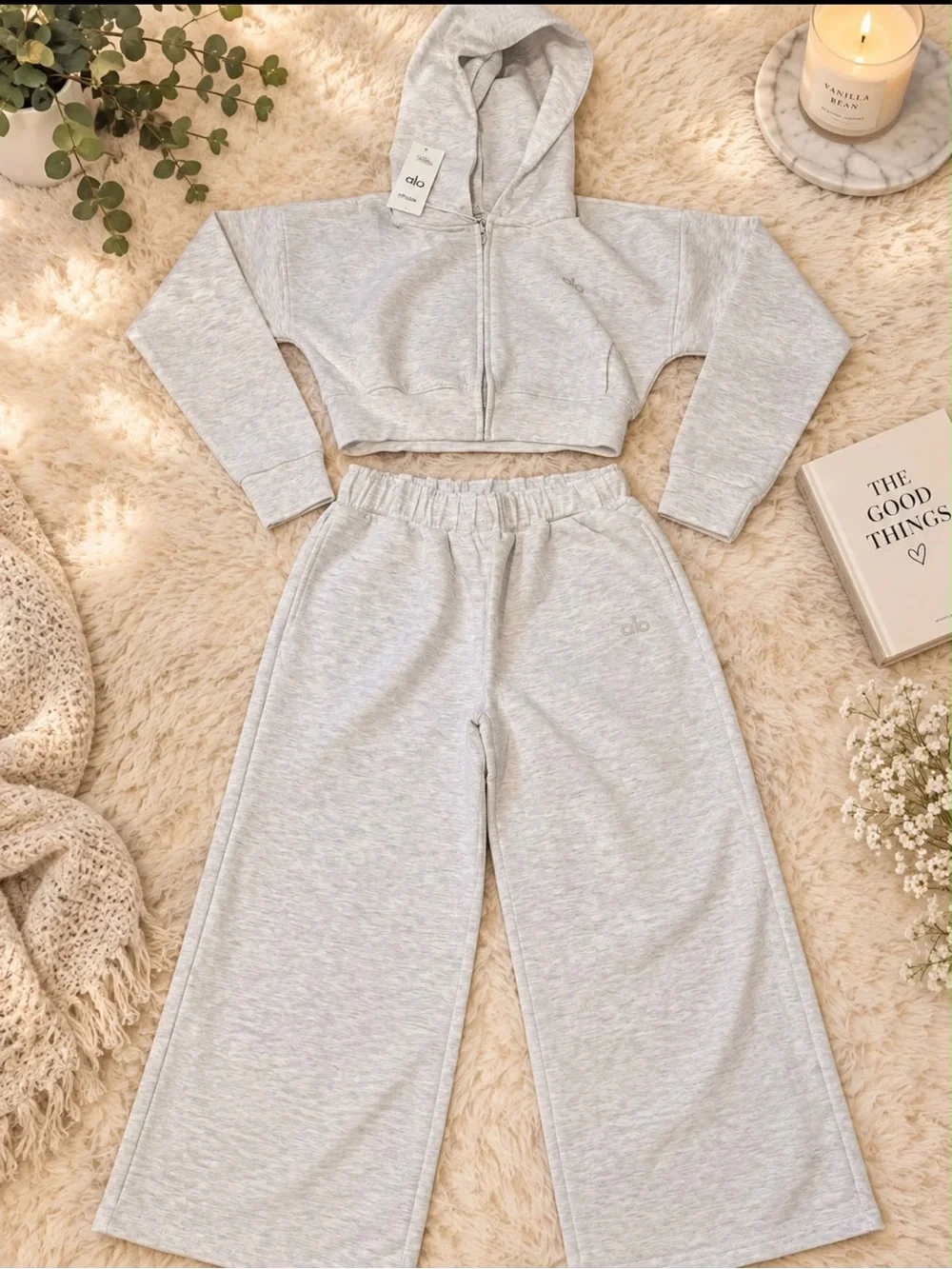ALO Yoga Light Gray Cropped Zip Hoodie
